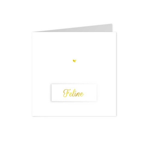 Klassiek geboortekaartje met naamkaartje - Feline