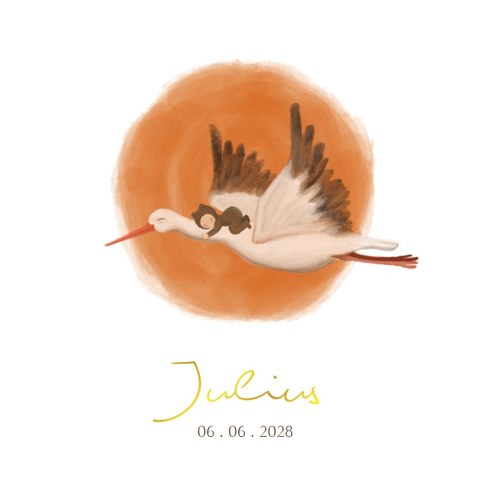 Klassiek jongen geboortekaartje met illustratieve ooievaar en goudfolie - Julius