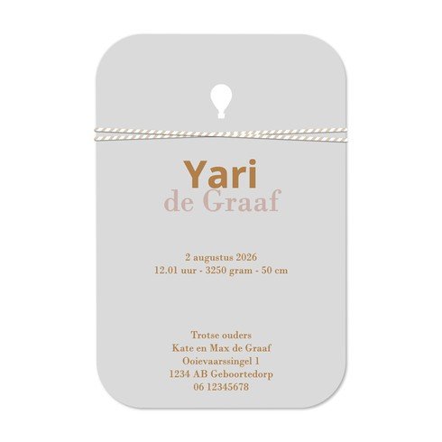 Jongens label geboortekaartje met een schattige luchtballon als los label met regenboog folie - Yari