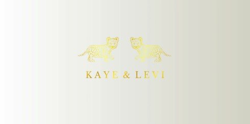 Lief geboortekaartje tweeling - Kaye en Levi