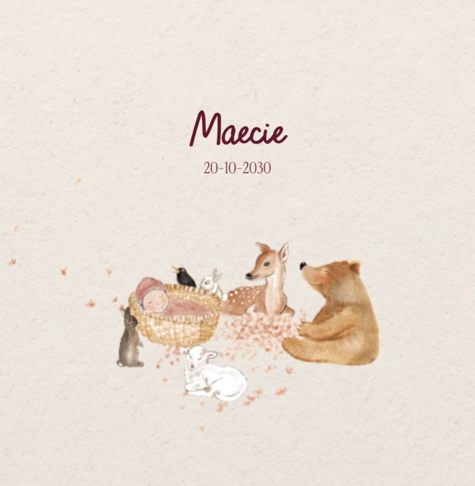 Lief illustratief geboortekaartje met beer konijn schaapje - Maecie