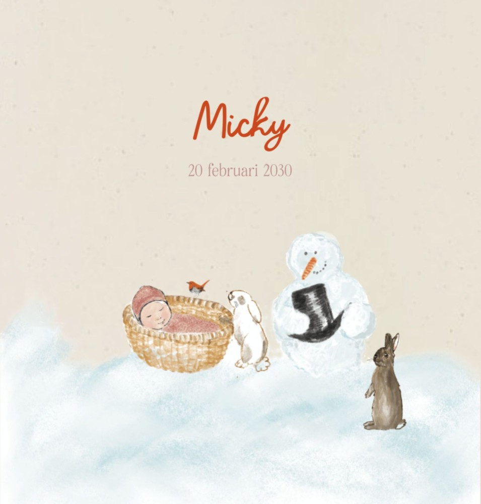 Lief illustratief geboortekaartje winter mandje konijn - Micky