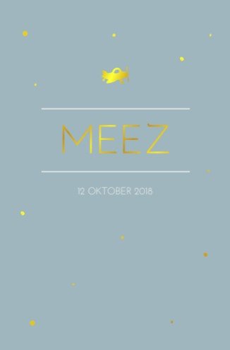 Jongens geboortekaartje met lief vliegtuigje - Meez