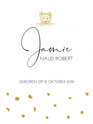 Poster Jamie met folie - 30x40 cm DIY