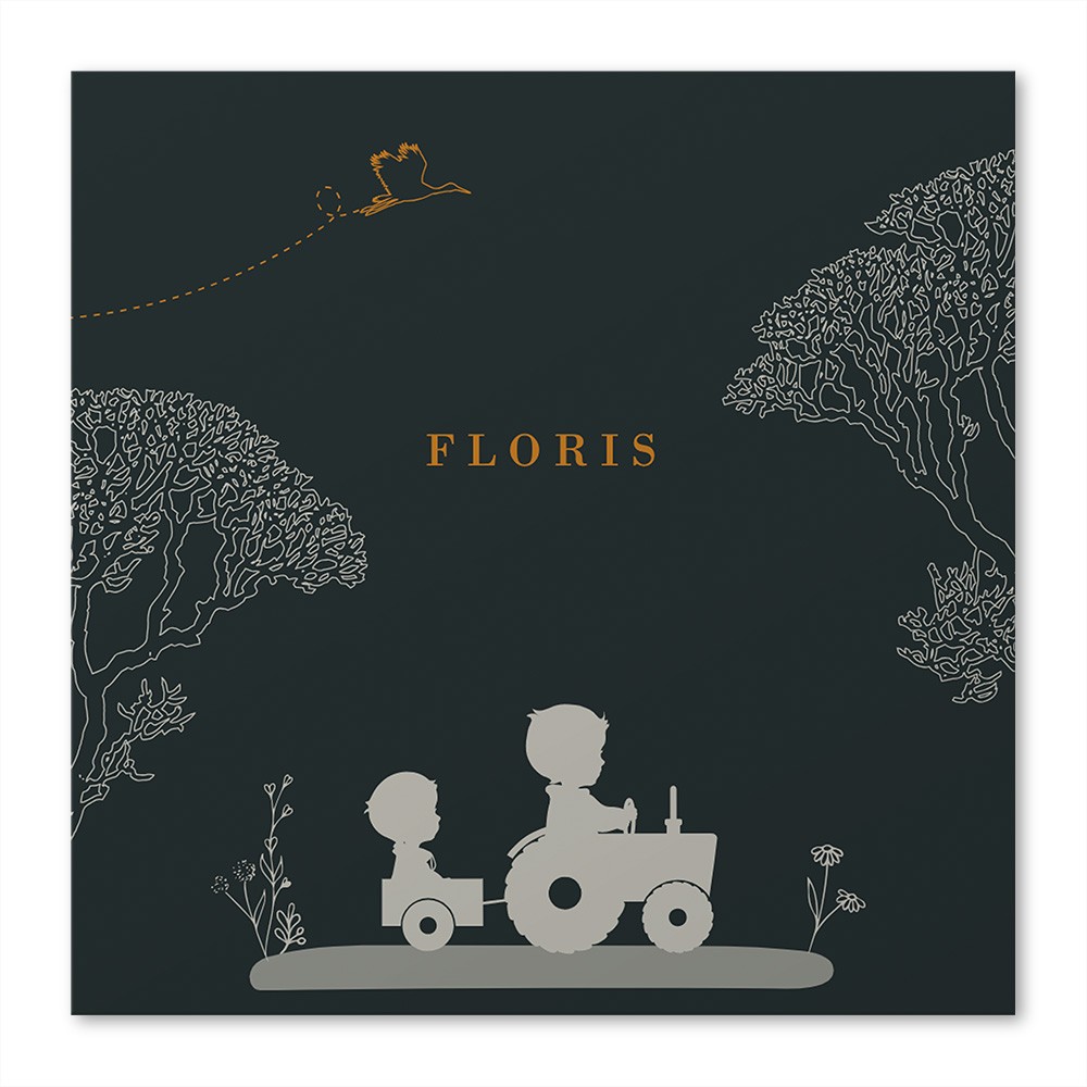 Raamsticker broertjes op tractor 50x50 - Floris