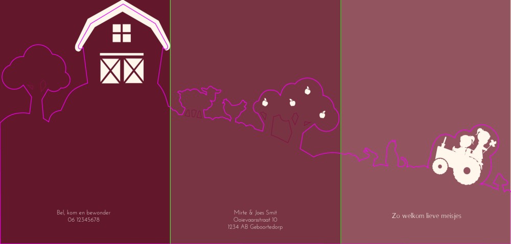 Tweeling geboortekaartje in boerderij 3d vorm met lieve zusjes - Jaede en Ruby