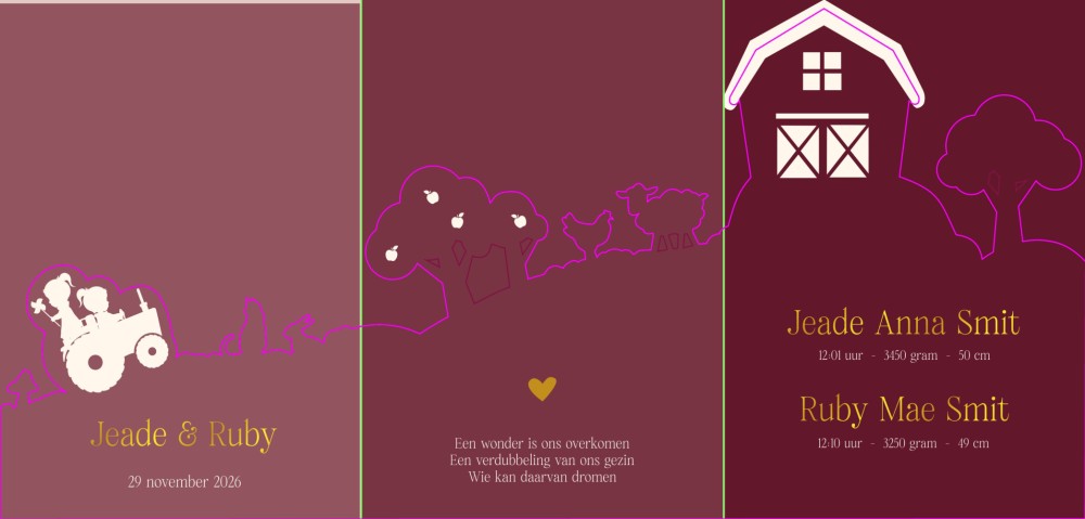 Tweeling geboortekaartje in boerderij 3d vorm met lieve zusjes - Jaede en Ruby