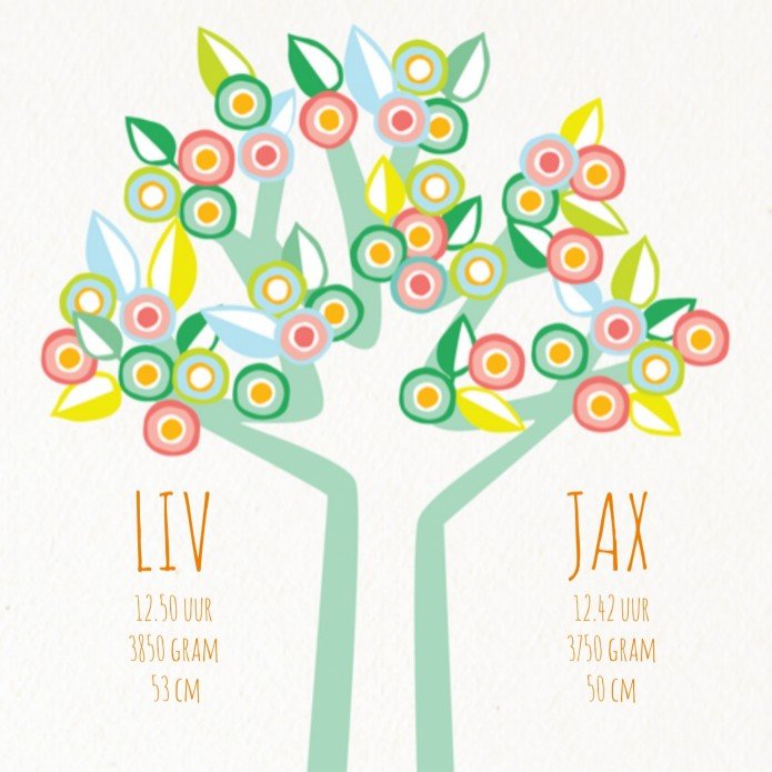 kaart binnenzijde midden