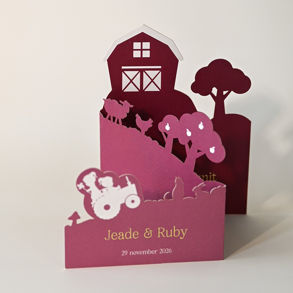 Tweeling geboortekaartje in boerderij 3d vorm met lieve zusjes - Jeade en Ruby