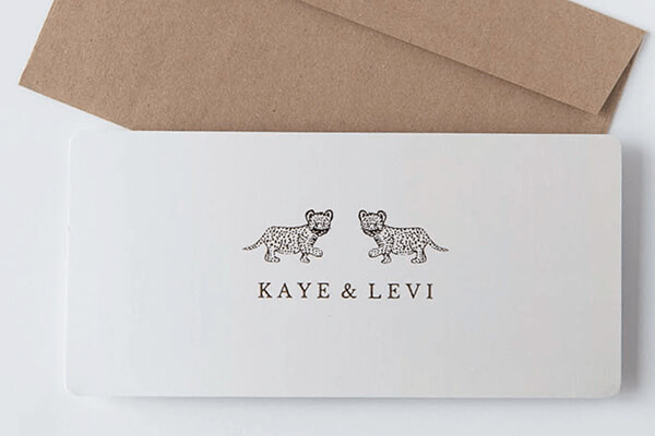 inspiratie-geboortekaratje-tweeling-dieren-inspiratie