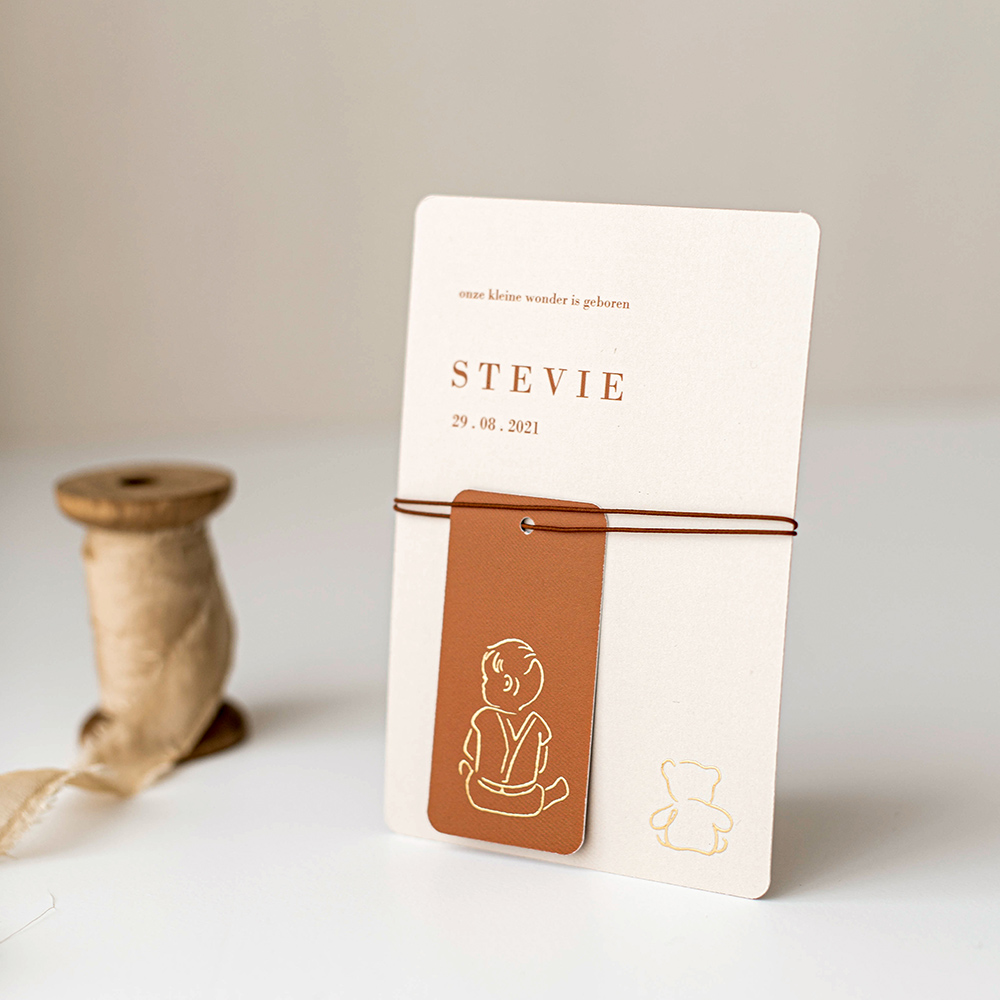 https://liefleukeneigen.nl/storage/contents/images/geboortekaartje_meisje_label_teddybeer.jpg